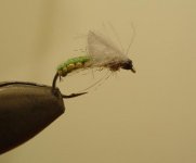 green and yellow emerger.jpg