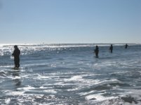 The Crew Works the Surf at IBSP.jpg