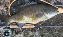 Big Smallie2.jpg