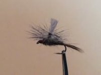 My first ever dry fly.jpg