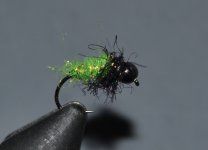 Ice Dub Caddis.jpg