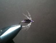 Partridge and Peacock Soft Hackle.jpg