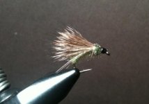 Caddis Emerger 1.jpg