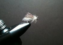 Backstop Caddis.jpg