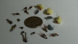 Fly Assortment.jpg