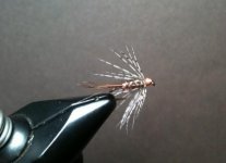 Soft Hackle Pheasant Tail.jpg