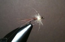 Sulphur Soft Hackle.JPG