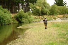 Michael scouts for a trout in typical Kiwi style. His experience was valuable in locating fish in th