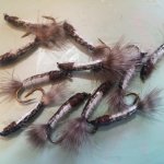 Cranefly Larvae - Micro Minnows.JPG