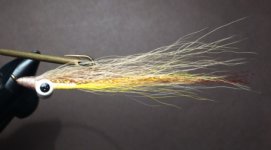 LBT Clouser .JPG