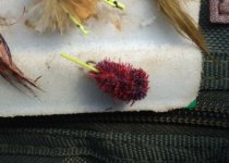 Deer Hair Mulberry Fly .JPG