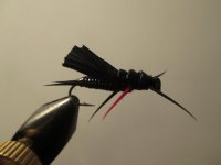 Darth Vader Stonefly 1 R.jpg