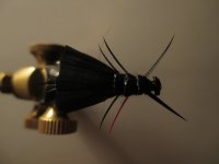 Darth Vader Stonefly 2 R.jpg