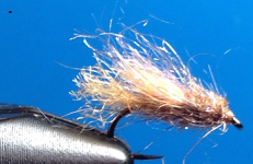 Caddis Emerger.png