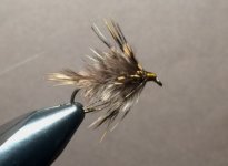 Pheasant Flymph 4.JPG