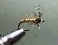 yellow soft hackle.jpg