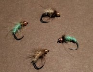 Caddis Pupa 1.JPG