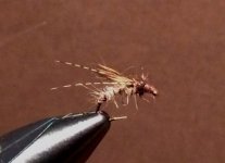 Tan Caddis Emerger.JPG