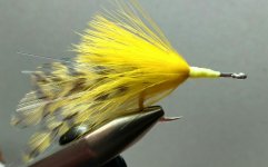 Yello tarpon.jpg