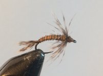 Biot Body Soft Hackle.jpg