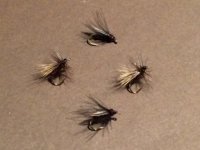 Little Black Stoneflies.JPG