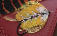 Classic-salmon-fly.-Yellow-Butterfly.jpg