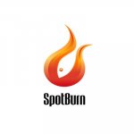 SpotBurn.jpg