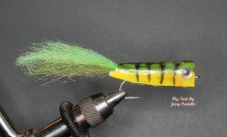 Tiger Crease Fly Signature Reside.jpg