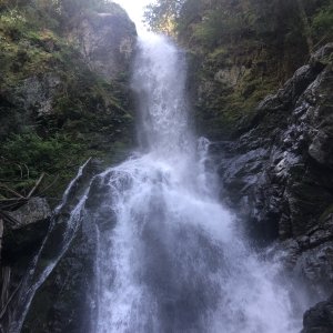 O'toole Creek, Washington State